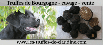 site de Claudine MIGNARD sur la truffe de Bourgogne